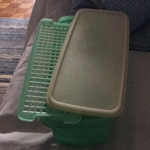 Tupperware veggie container